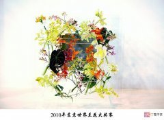 【兰花】2010年东京国际兰花大奖赛作品