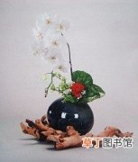 【花】台湾花艺——祈喜