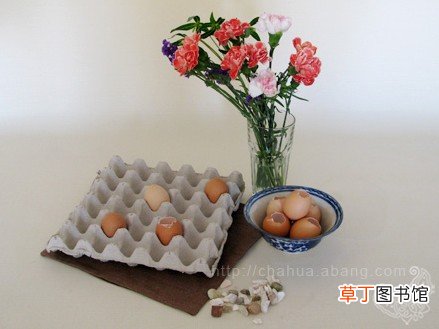 【插花】用鸡蛋壳来做居家插花