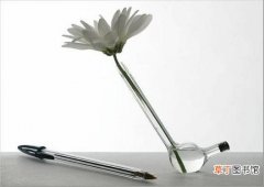 【花瓶】插花艺术 花与花瓶的绝恋