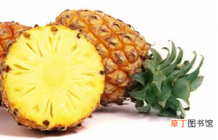 【凤梨】怎么区分菠萝和凤梨 菠萝和凤梨的不同点