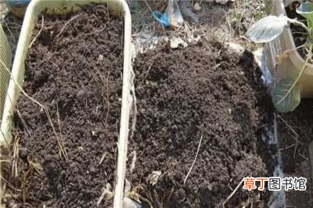 【营养】换盆后旧土别扔，加点这个，比营养土还肥沃
