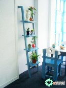 【植物】清新的小花架 给你的植物安个漂亮的家