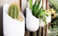【好看】创意花盆—介绍几种可爱又好看的DIY花盆