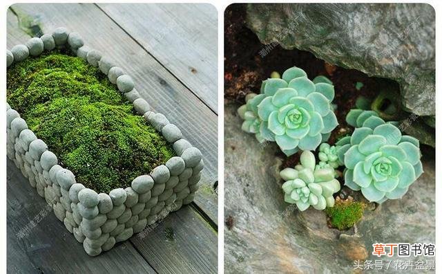 【好看】创意花盆—介绍几种可爱又好看的DIY花盆