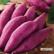 【栽培】紫番薯栽培技术