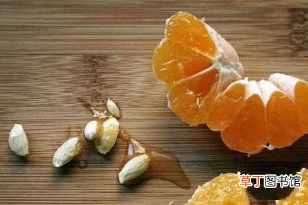 【处理】橘子籽怎么种：浸泡，处理