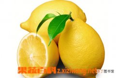 【柠檬】柠檬的五大美白祛斑方