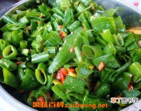 【方法】绿葱叶怎样腌制 绿葱叶的腌制方法教程