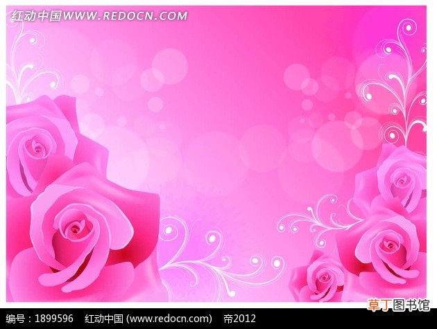 【图片】玫瑰花粉色背景图片