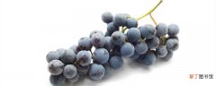 【种植】葡萄的种植方法和技术，葡萄怎么种植：种植方法，管理技术