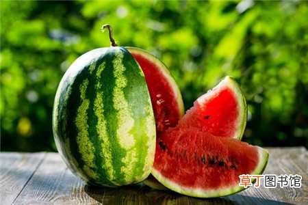 【种植】西瓜怎么种植，西瓜的作用：西瓜怎么种植，西瓜的作用