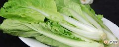 【种植】阳台小白菜的种植方法：材料准备，品种选择