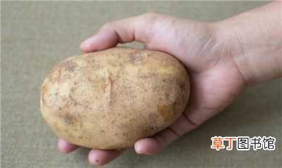 【土豆】阳台土豆的种植方法：选择土豆，准备种植的土壤