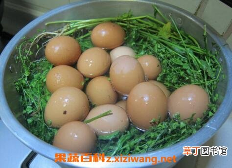 【花卉大全】艾叶煮鸡蛋的做法步骤教程