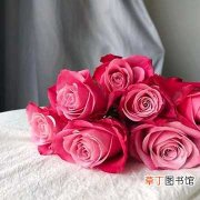 【送花】男生送花束给女生的意思是什么？