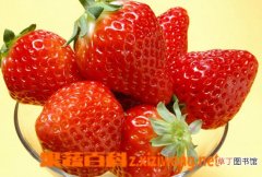 【草莓】常吃草莓的营养价值