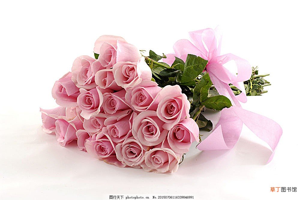 【图片】最漂亮玫瑰花的图片