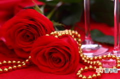 【图片】求婚玫瑰花款式图片