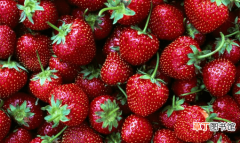 【草莓】经常吃草莓