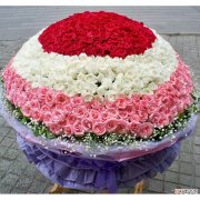 【图片】999朵玫瑰花精美图片