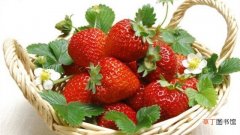 【吃】草莓不能和什么一起吃