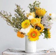 【花】向日葵鲜花如何水养，8种向日葵保鲜方法