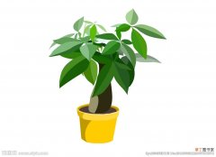 【图片】绿色植物图片素描