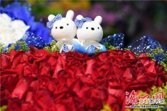 【图片】情人节玫瑰花熊图片