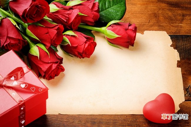 【玫瑰花】浪漫情人节玫瑰花图片