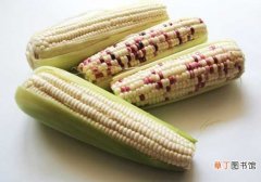 【种植】糯玉米的种植技术