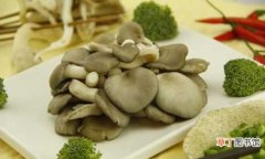 【吃】孕妇可以吃平菇吗 孕妇吃平菇的好处