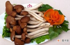【价格】茶树菇的价格 茶树菇的营养价值
