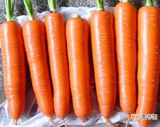 【吃】孕妇可以吃萝卜吗 吃胡萝卜的作用