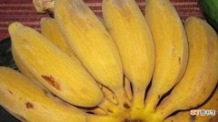 【香蕉】芭蕉与香蕉的区别