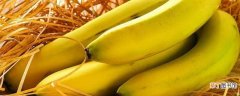 【水果】香蕉是寒性水果