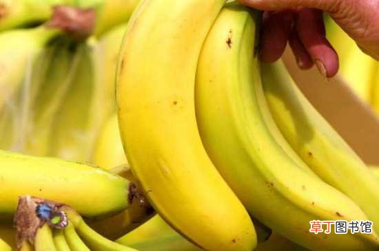 【水果】香蕉是寒性水果