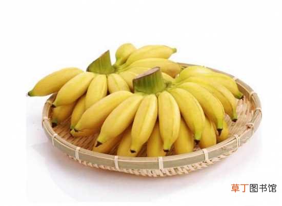 【价值】皇帝蕉的营养成分 皇帝蕉营养价值