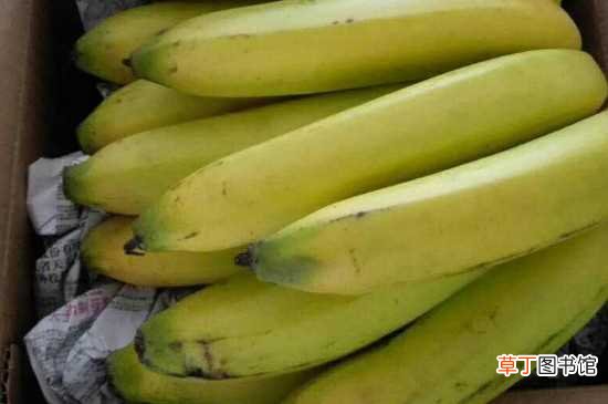 【方法】催熟香蕉的土方法
