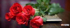 【玫瑰花】五支玫瑰花代表什么意思：爱你无悔 纯洁的爱