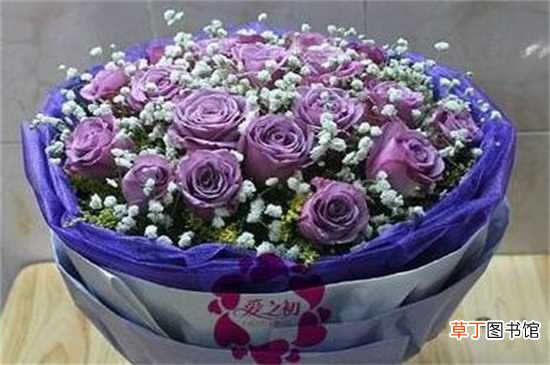 【寓意】紫玫瑰的寓意：浪漫真情 守护爱情