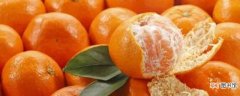 【种植】橘子籽可以种植