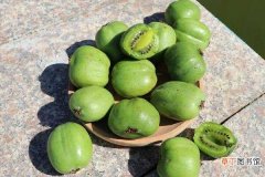 【桃】软枣猕猴桃种植技术有哪些 怎么种最高产