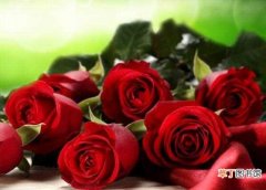 【颜色】玫瑰应该送给什么人，盘点不同颜色的玫瑰分别送给谁：可以送玫瑰的