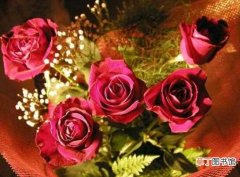 真挚爱情 【百合花】玫瑰加百合什么意思，玫瑰百合花束代表什么：玫瑰加百