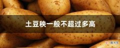 【多】土豆秧一般不超过多高
