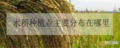 【种植】水稻种植业主要分布在哪里