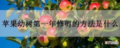【树】苹果幼树第一年修剪的方法是什么