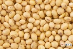 【施肥】大豆施肥氮磷钾比例 怎么施肥更合理