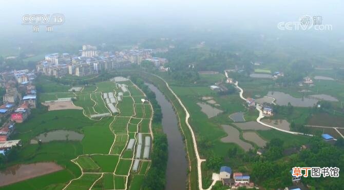 重庆探索推广稻渔综合种养 一田多收助力农户增收